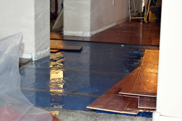 Professional Burst Pipe Cleanup technician working in Stovall, NC